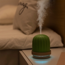 AWH-203 Mini Cactus Humidifier