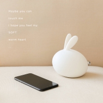 Rabbit LED night light